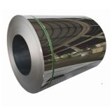 1/4 Hard Hot Rolled Stainless Steel Coil Customized Products ISO9001 Standard Best Price in China